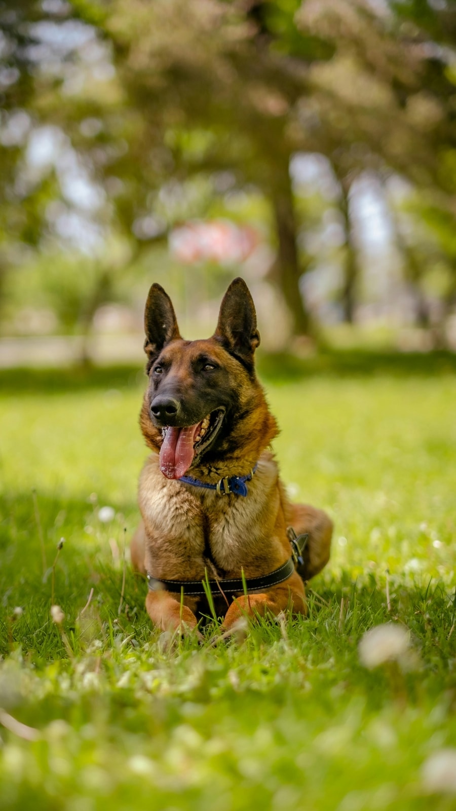 pexels-sadi-gokpinar-321165339-16868426