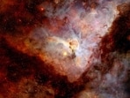 carina