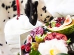 As temperatures soar during the Indian summer, keeping your dog's diet light yet nutritious is essential. As temperatures soar during the Indian summer, keeping your dog's diet light yet nutritious is essential.