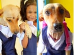 Snapshot of the dog and the girl in a pinafore. Snapshot of the dog and the girl in a pinafore.