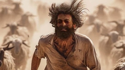 Aadujeevitham The Goat Life box office collection: Prithviraj Sukumaran in a still from the Blessy directoral. Aadujeevitham The Goat Life box office collection: Prithviraj Sukumaran in a still from the Blessy directoral.