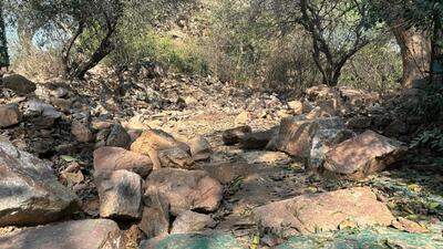 Delhi has four prominent Ridge areas and the total area under the Ridge as reserved forests is around 7,784 hectares. (AFP) Delhi has four prominent Ridge areas and the total area under the Ridge as reserved forests is around 7,784 hectares. (AFP)