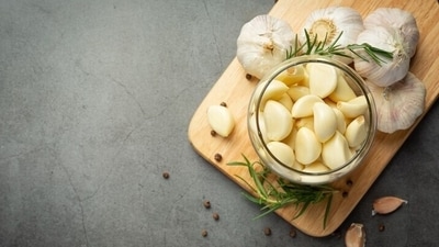 8. Garlic: Storing garlic in the fridge can cause it to sprout or become rubbery. It can also catch fungus due to moisture. Instead, keep garlic in a cool, dry place with good air circulation. (Freepik) 8. Garlic: Storing garlic in the fridge can cause it to sprout or become rubbery. It can also catch fungus due to moisture. Instead, keep garlic in a cool, dry place with good air circulation. (Freepik)