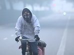 Air pollution can affect everyone, but it is especially risky for kids, pregnant women, and old folks. This is true especially when cities get hit with short, intense bursts of dirty air. Air pollution can affect everyone, but it is especially risky for kids, pregnant women, and old folks. This is true especially when cities get hit with short, intense bursts of dirty air.