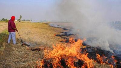 Last year, Delhi logged five farm fires and Rajasthan recorded 1,775 farm fires. (HT Archive) Last year, Delhi logged five farm fires and Rajasthan recorded 1,775 farm fires. (HT Archive)
