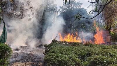 Noida residents on Monday complained to senior officials, asking them to get the dry leaves removed at the earliest from residential areas after a major fire on Monday morning at Meghdootam Park. (HT Photo) Noida residents on Monday complained to senior officials, asking them to get the dry leaves removed at the earliest from residential areas after a major fire on Monday morning at Meghdootam Park. (HT Photo)