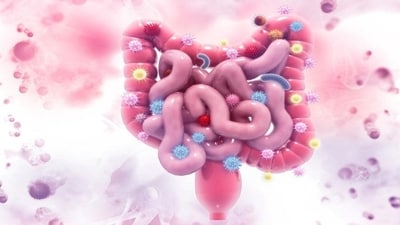 Diet plan, lifestyle changes to help prevent colorectal cancer (Getty Images/iStockphoto) Diet plan, lifestyle changes to help prevent colorectal cancer (Getty Images/iStockphoto)