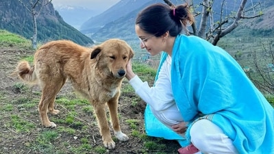 In a photo, Shraddha Kapoor posed while petting a dog. She was seen in a white outfit and blue shawl. In a photo, Shraddha Kapoor posed while petting a dog. She was seen in a white outfit and blue shawl.