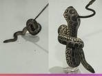 10 yellow anacondas were seized from the checked-in luggage of the passenger.