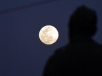 When is the Pink Full Moon 2024? The Pink Full Moon in 2024 is expected to occur on April 23, with peak illumination around 7:49 p.m. ET/6:49 p.m.&nbsp;&nbsp;(ANI)