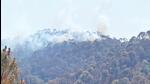 On Monday, 52 forest fire incidents were reported in the state, including 35 in Kumaon region. (HT photo)