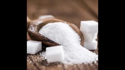 Despite fewer sugar factories initiating the sugarcane crushing process this year, there has been a significant increase in all sugarcane crushing components. (REPRESENTATIVE PIC) Despite fewer sugar factories initiating the sugarcane crushing process this year, there has been a significant increase in all sugarcane crushing components. (REPRESENTATIVE PIC)