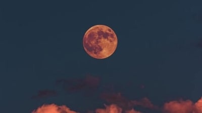 The Pink Full Moon is an eagerly awaited celestial event that promises to light up the night sky with its unique charm and beauty. Here's a list of everything you need to know about this fascinating phenomenon: (Unsplash) The Pink Full Moon is an eagerly awaited celestial event that promises to light up the night sky with its unique charm and beauty. Here's a list of everything you need to know about this fascinating phenomenon: (Unsplash)