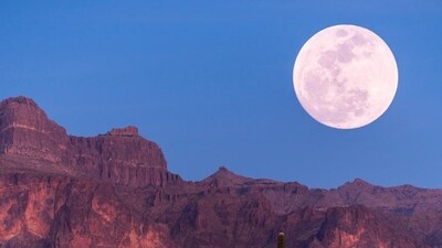 Why is it Called the Pink Full Moon? Despite its name, the Pink Full Moon does not actually appear pink in colour. The term "pink" is derived from the traditional Native American name for the April full moon, which is associated with the blooming of wildflowers, particularly the phlox flower, that carpet the landscape in shades of pink. (Unplash) Why is it Called the Pink Full Moon? Despite its name, the Pink Full Moon does not actually appear pink in colour. The term "pink" is derived from the traditional Native American name for the April full moon, which is associated with the blooming of wildflowers, particularly the phlox flower, that carpet the landscape in shades of pink. (Unplash)