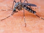 Every year, World Malaria Day is observed on April 25.
