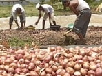 Agri-exports in the April-February 2023-24 period fell by just under 9% over the corresponding period in 2022-23 (REPRESENTATIVE PHOTO)