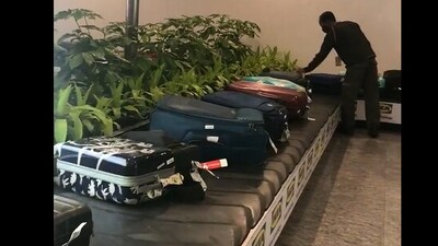 The worker at Bengaluru airport arranging bags. (X/@PradeepAJ) The worker at Bengaluru airport arranging bags. (X/@PradeepAJ)