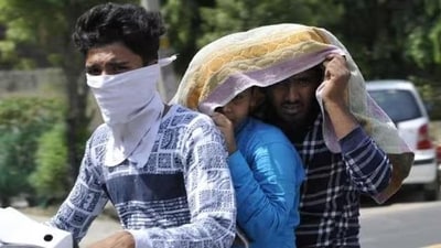 IMD declares it a heat wave when the day temperature touches 40 degrees Celsius and it is at least 4.5 degrees above the climatic normal. (Representative Image) IMD declares it a heat wave when the day temperature touches 40 degrees Celsius and it is at least 4.5 degrees above the climatic normal. (Representative Image)