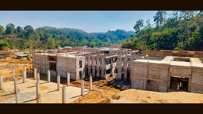 The Centre took notice of the illegal diversion of forests in 2023 at Hailakandi and directed the state to halt construction. (HT Photo)