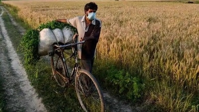 PM KISAN scheme: The 16th installment was released in February and the 17th installment is expected any time in May. (PTI)