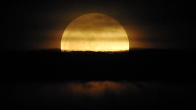 Pink Moon spotted over Burke Lake Park, Fairfax Station, Virginia. (X - @DianeWillen ) Pink Moon spotted over Burke Lake Park, Fairfax Station, Virginia. (X - @DianeWillen )