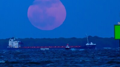 Full Pink Moon rising over Kent Island in Chesapeake Bay, Maryland. (X - @dcsplicer) Full Pink Moon rising over Kent Island in Chesapeake Bay, Maryland. (X - @dcsplicer)