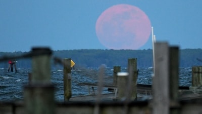 Full Pink Moon rising over Kent Island in Chesapeake Bay, Maryland, as seen from Eastport, MD. (X - Paul W Gillespie @pwgphoto) Full Pink Moon rising over Kent Island in Chesapeake Bay, Maryland, as seen from Eastport, MD. (X - Paul W Gillespie @pwgphoto)