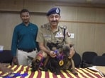 Chennai police commissioner Sandeep Rai Rathore with newly inducted members of the canine squad. Chennai police commissioner Sandeep Rai Rathore with newly inducted members of the canine squad.