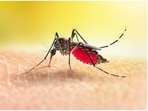 Climate change is bringing malaria to new areas. In Africa, it never left