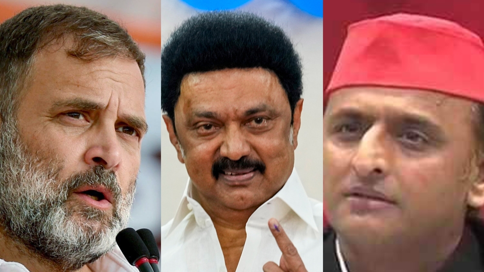 Lok Sabha elections 2024: How political families dominate India's life streams - Vimarsana News