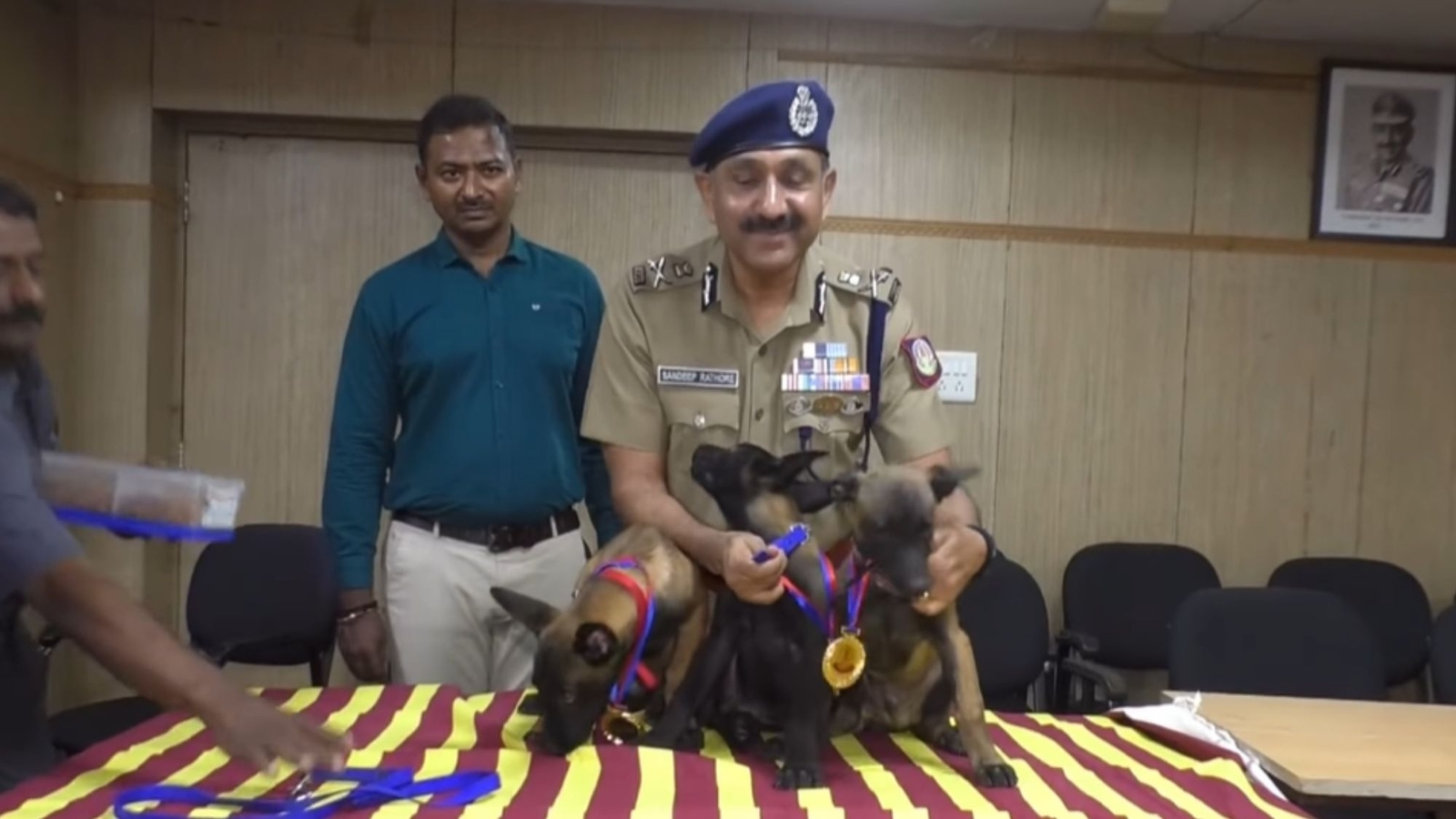 Chennai Police inducts 3 Belgian Shepherd puppies named after F1 stars in dog squad - Vimarsana News