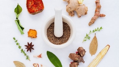 Dietary Modifications: Consume bitter and pungent foods, such as bitter gourd, ginger, and turmeric. This helps create an unfriendly environment for parasite growth. (Pixabay) Dietary Modifications: Consume bitter and pungent foods, such as bitter gourd, ginger, and turmeric. This helps create an unfriendly environment for parasite growth. (Pixabay)