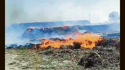 Bales of straw stocked at a field in Melewal village caught fire in Ludhiana on Thursday. (HT Photo)