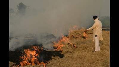 Every year, during the paddy harvest season (October to November), which coincides with the onset of winters, smoke rising from the fields of Punjab and Haryana leads to formation of a smog jacket over the region, especially the National Capital Region, causing severe health and environmental hazards. (AFP)