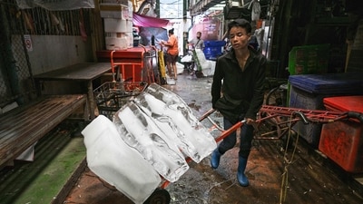 Extreme heat is scorching parts of South and Southeast Asia, prompting health warnings from authorities as high temperatures are recorded across the region. (AFP) Extreme heat is scorching parts of South and Southeast Asia, prompting health warnings from authorities as high temperatures are recorded across the region. (AFP)