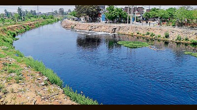 PPCB had collected samples on directions from the NGT. (Manish/HT) PPCB had collected samples on directions from the NGT. (Manish/HT)