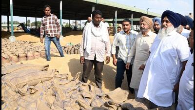 Sukhbir Badal, who visited the Mahuana and Malout grain markets in Muktsar district, said that farmers are already struggling due to the non-payment of compensation for crop damage caused by hailstorms and now they are facing difficulties in procurement. (HT Photo)