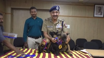 Chennai police commissioner Sandeep Rai Rathore with newly inducted members of the canine squad. (Instagram/@greater_chennai_police_) Chennai police commissioner Sandeep Rai Rathore with newly inducted members of the canine squad. (Instagram/@greater_chennai_police_)