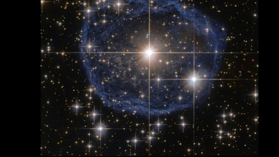 Snapshot of Wolf-Rayet nebula. Snapshot of Wolf-Rayet nebula.