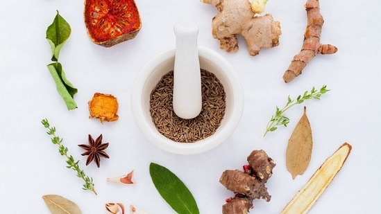 Dietary Modifications: Consume bitter and pungent foods, such as bitter gourd, ginger, and turmeric. This helps create an unfriendly environment for parasite growth.(Pixabay)