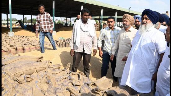Sukhbir Badal, who visited the Mahuana and Malout grain markets in Muktsar district, said that farmers are already struggling due to the non-payment of compensation for crop damage caused by hailstorms and now they are facing difficulties in procurement. (HT Photo)