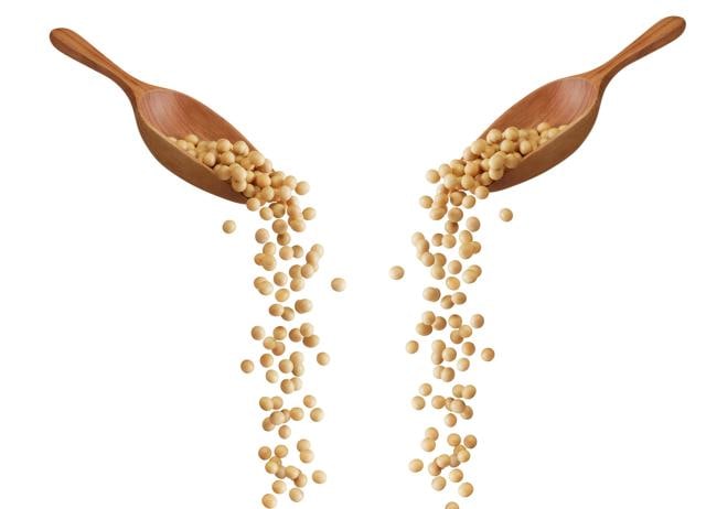 China, where they live on soya products, had among the world’s lowest rates of breast cancer. (SHUTTERSTOCK) China, where they live on soya products, had among the world’s lowest rates of breast cancer. (SHUTTERSTOCK)