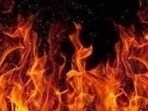 Three cows were also killed in the fire, police said.