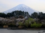 It is the latest direct action in Japan against over-tourism after residents of Kyoto's geisha district banned visitors from small private alleys this year. (Reuters)