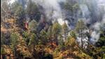 A forest fire in Uttarakhand. (HT File Photo)