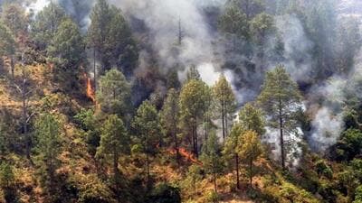 A forest fire in Uttarakhand. (HT File Photo) A forest fire in Uttarakhand. (HT File Photo)