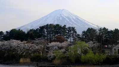 It is the latest direct action in Japan against over-tourism after residents of Kyoto's geisha district banned visitors from small private alleys this year. (Reuters)