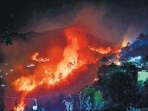 A fire tears through a forest near Saterakhal village in Rudraprayag district of Uttarakhand. (PTI)