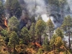 A forest fire in Uttarakhand. (HT File Photo)