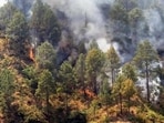 A forest fire in Uttarakhand.